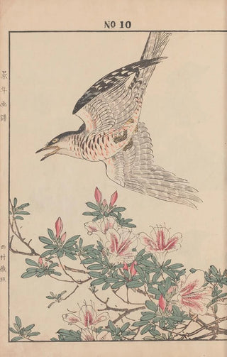 Imao Keinen - Keinen kach gafu Pl095.webp