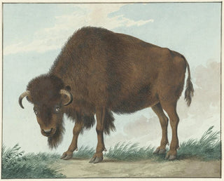 Bison - Isaac van Haastert — vy av konstverket