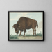 Bison - Isaac van Haastert — inramlat konstverk på väggen