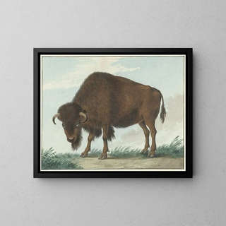 Bison - Isaac van Haastert — inramlat konstverk på väggen