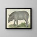 Tapir - Isaac van Haastert — inramlat konstverk på väggen