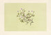 Nohuanu - Isabella McHutcheson Sinclair — vy av konstverket