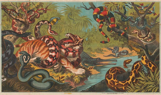 JW Hart - Jungle serpent strangling animal.webp