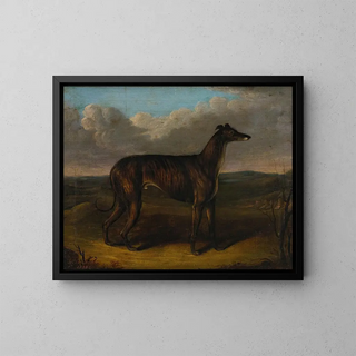 J Thompson - The Sultan A Greyhound.webp