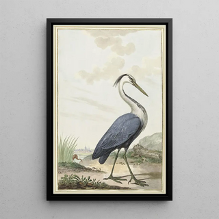 Jabes Heenck - Blauwe reiger.webp