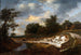 Falaise sablonneuse - Jacob van Ruisdael — vy av konstverket
