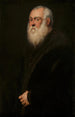 den bearded mannen - Jacopo Tintoretto — vy av konstverket