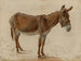 En åsna - Jacques-Laurent Agasse — vy av konstverket