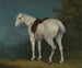 En grå häst av dam - Jacques-Laurent Agasse — vy av konstverket