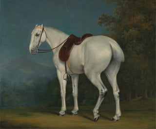 En grå häst av dam - Jacques-Laurent Agasse — vy av konstverket