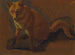 Studie av en räv - Jacques-Laurent Agasse — vy av konstverket