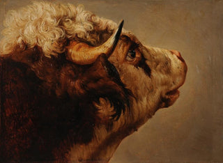 Tête de vache - Jacques-Raymond Brascassat — vy av konstverket