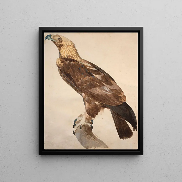 Jacques Barraband - The Eagle of Thebes.webp