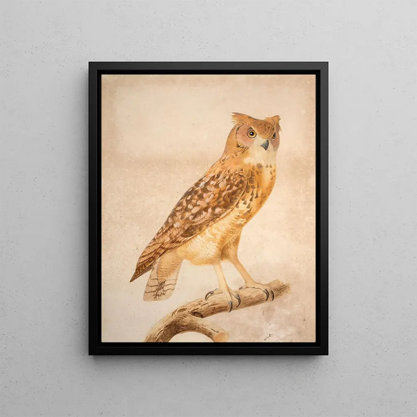 Le Hibou grand-duc du Pharaon - Jacques Barraband — inramlat konstverk på väggen