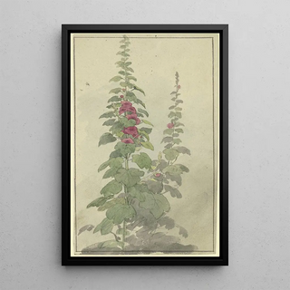 Jakob Becker - Rosellas.webp