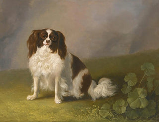 Porträtt av en King Charles spaniel i ett landskap - Jakob Philipp Hackert — vy av konstverket
