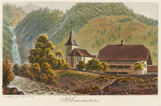 Jakob Samuel Weibel - Blumenstein.webp