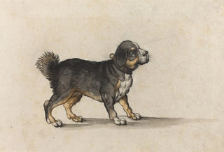 Jakob Walther - A Mastiff with a GoldTooled Collar.webp