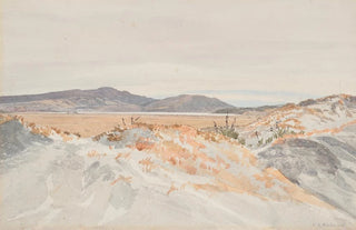 James Crowe Richmond - Dunedin from the Ocean Beach.webp