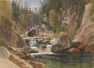 Sur l'Ausable - James David Smillie — vy av konstverket