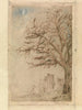Acacia - James Ensor — vy av konstverket