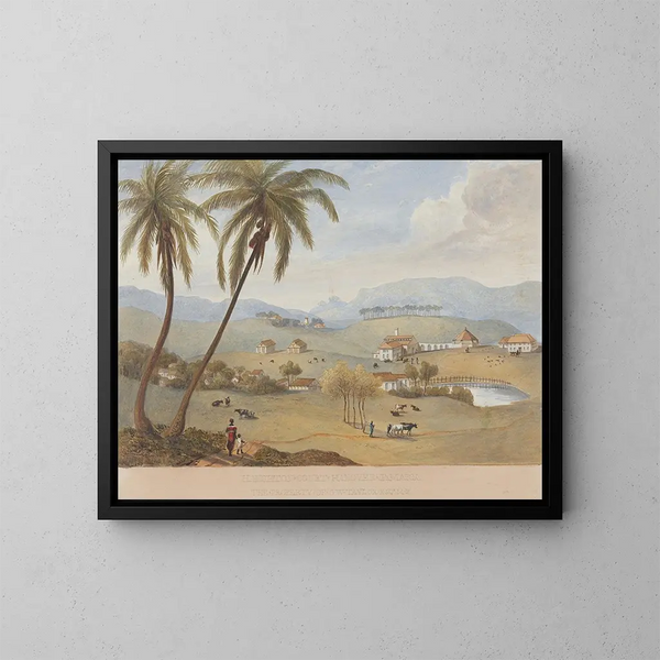 Haughton Court, Hanovre, Jamaïque - James Hakewill — inramlat konstverk på väggen