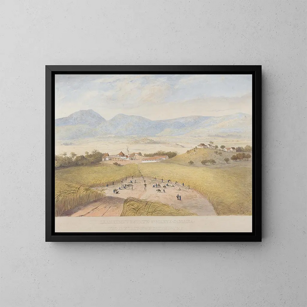 Domaine de Llanrumny, Sainte-Marie, Jamaïque - James Hakewill — inramlat konstverk på väggen
