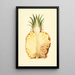 Ananas comosus, ananas - James Marion Shull — inramlat konstverk på väggen