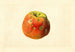 Malus domestica Smith Cider - James Marion Shull — vy av konstverket