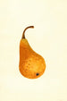 Pyrus communis Bosc - James Marion Shull — vy av konstverket