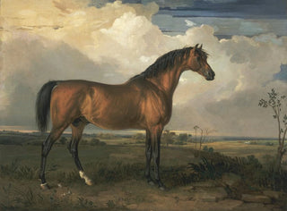 Aigle, en berömd hingst - James Ward — vy av konstverket