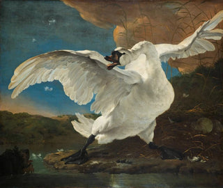 Le cygne menacé - Jan Asselijn — vy av konstverket