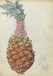 Ananas - Jan Brandes — vy av konstverket