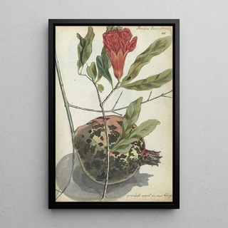 Jan Brandes - Granaatappel en bloesem.webp