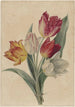 Bouquet de tulipes - Jan Jacob Goteling Vinnis — vy av konstverket