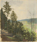 Scrub Hill - Jan Nowopack — vy av konstverket