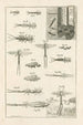 Le livre de la nature ou L'histoire des insectes Pl13 - Jan Swammerdam — vy av konstverket