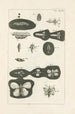 Le livre de la nature ou L'histoire des insectes Pl37 - Jan Swammerdam — vy av konstverket