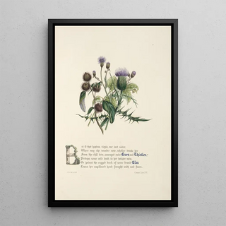 Jane Elizabeth Giraud - Burrs and thistles elm.webp