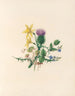 La fête des fleurs Pl02 - Jane Elizabeth Giraud — vy av konstverket