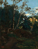 Bosquet d’arbres parmi les rochers, Civita Castellana - Jean - Baptiste Camille Corot — vy av konstverket