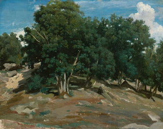 JeanBaptisteCamille Corot - Fontainebleau Oak Trees at BasBrau.webp