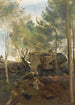 Fontainebleau Pins och björkar i klipporna - Jean-Baptiste-Camille Corot — vy av konstverket