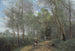 Ville d'Avray, ryttaren vid ingången till skogen - Jean-Baptiste-Camille Corot — vy av konstverket