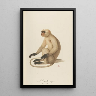 JeanBaptiste Audebert - LEntelle.webp