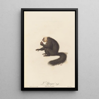 JeanBaptiste Audebert - LYarqu.webp