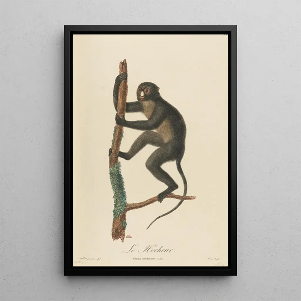 JeanBaptiste Audebert - Le Hocheur.webp