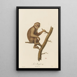 JeanBaptiste Audebert - Le Magot.webp