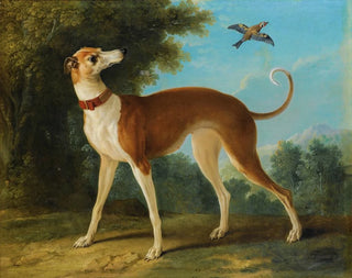 Greyhound i ett landskap - Jean-Baptiste Oudry — vy av konstverket