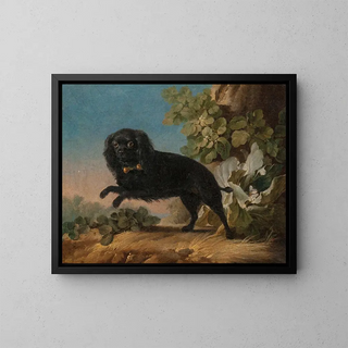 JeanJacques Bachelier - Mimi le chien favorite de madame de Pompadour.webp